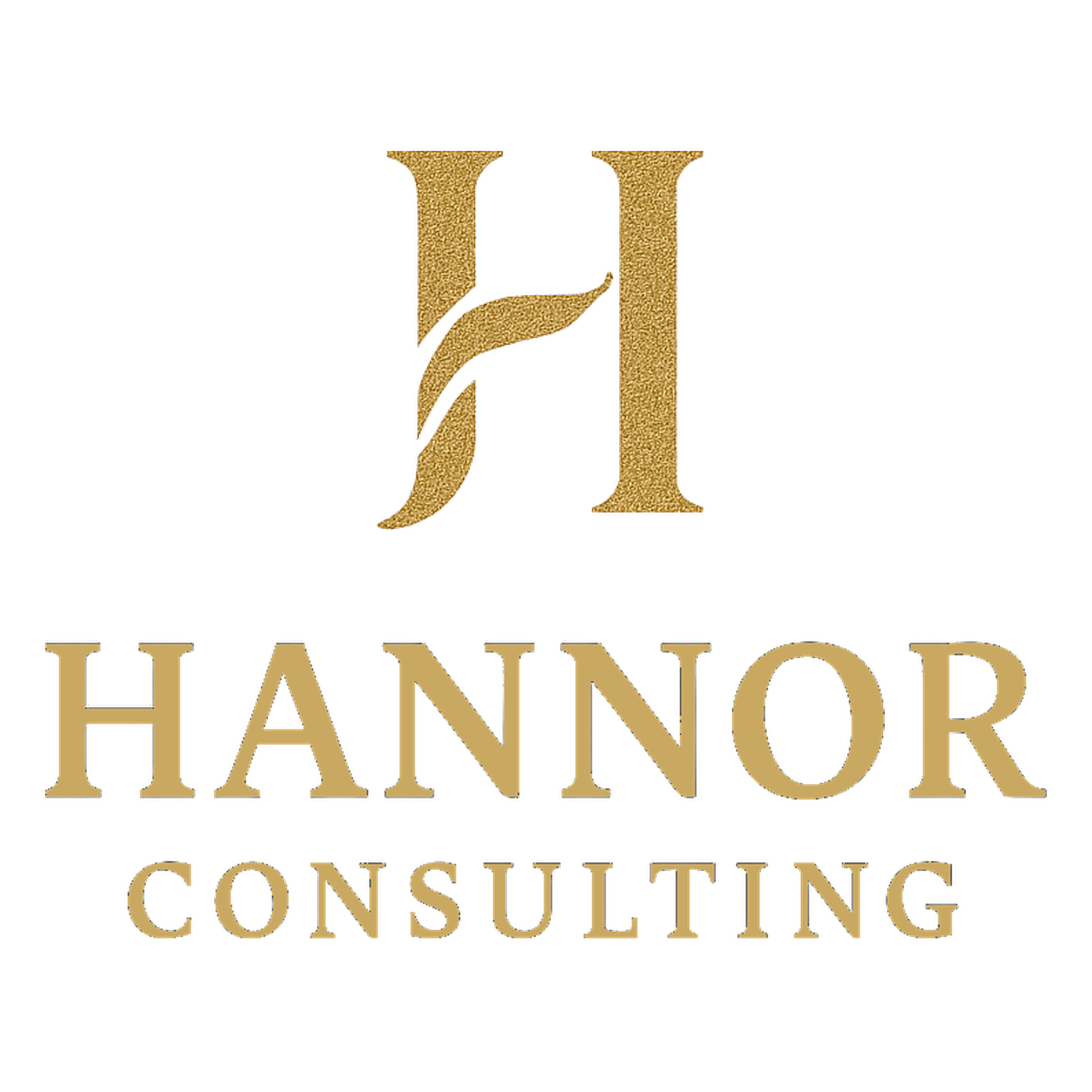 Hannor Consulting